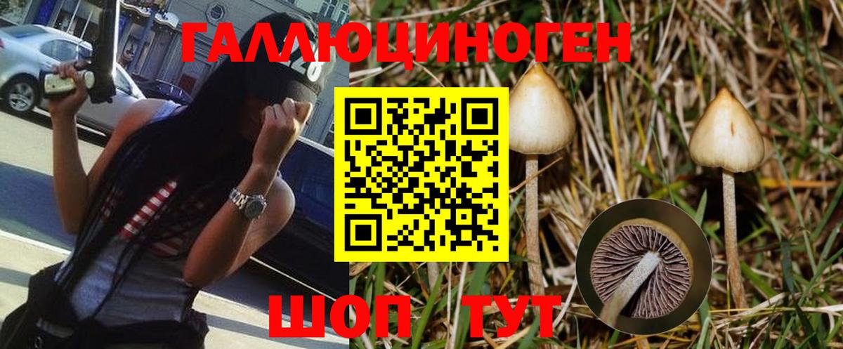 Димитровград  Псилоцибиновые грибы Psilocybe  где купить наркоту  Вход с VPN 